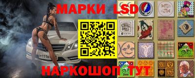 шишки Лесосибирск