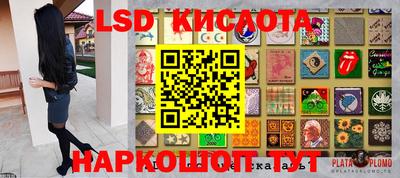 шишки Лесосибирск