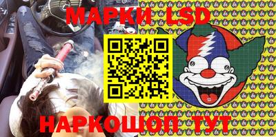 шишки Лесосибирск