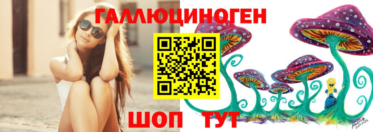 Владимир  Галлюциногенные грибы Psilocybe  Вход с VPN 